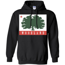 Flag-of-Woodland-California-state-USA-T-Shirt
