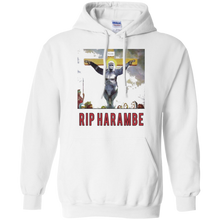 HARAM-BE-shirt-Gorilla-2016