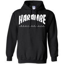 HARAM-BE-VINTAGE-COLLECTION-T-Shirt