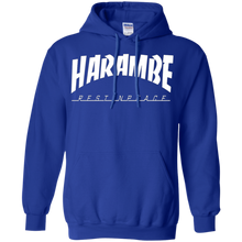 HARAM-BE-VINTAGE-COLLECTION-T-Shirt