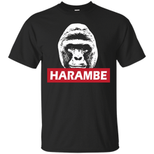 H--a--r--a--m--b--e-T-shirt