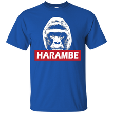 H--a--r--a--m--b--e-T-shirt