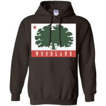 Flag-of-Woodland-California-state-USA-T-Shirt