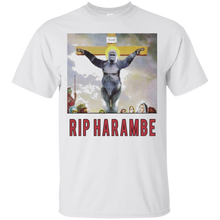 HARAM-BE-VINTAGE-COLLECTION-1999-2016-shirt