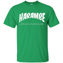 HARAM-BE-VINTAGE-COLLECTION-T-Shirt