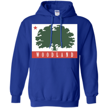 Flag-of-Woodland-California-state-USA-T-Shirt