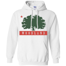 Flag-of-Woodland-California-state-USA-T-Shirt