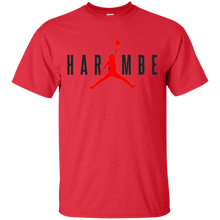 HARAM-BE-VINTAGE-COLLECTION-T-Shirt