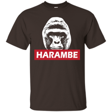 H--a--r--a--m--b--e-T-shirt