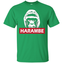 H--a--r--a--m--b--e-T-shirt