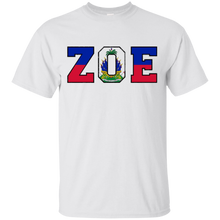 Haitian-Zoe----Haitian-pride-for-haitian-flag-day