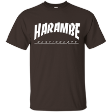 HARAM-BE-VINTAGE-COLLECTION-T-Shirt