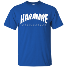 HARAM-BE-VINTAGE-COLLECTION-T-Shirt