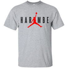 HARAM-BE-VINTAGE-COLLECTION-T-Shirt